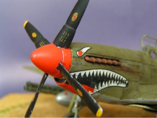 P-51 B Mustang - Riccardo Cugnetto