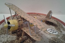 Fiat CR 42 Falco