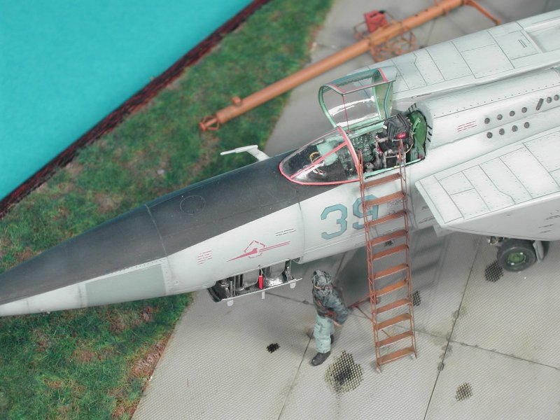 MIG 25 RBT © Davide Bellucci - Click to Enlarge