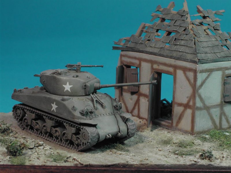 Sherman © Fabio Barberini - Click to Enlarge