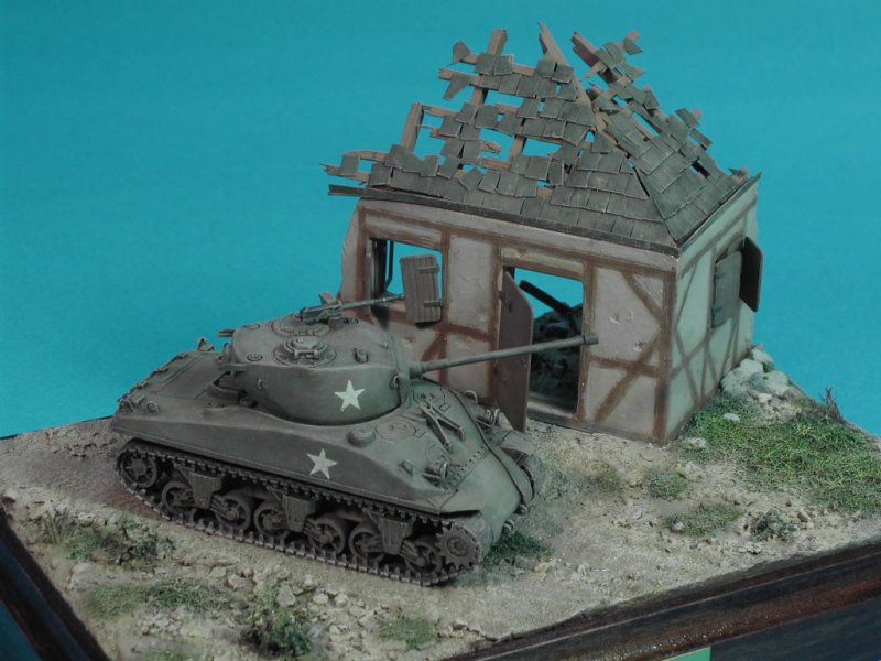 Sherman © Fabio Barberini - Click to Enlarge