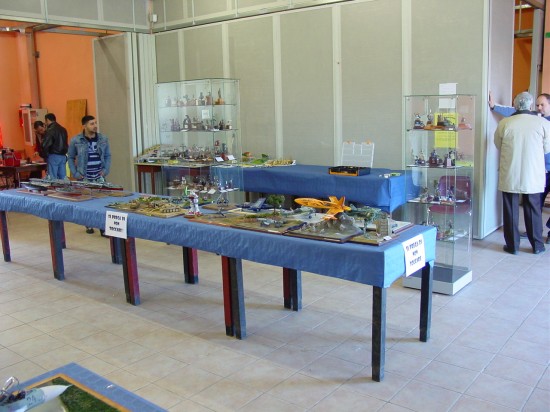 Mostra Concorso Phoenix Model Piemonte