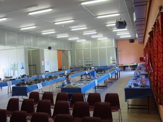 Mostra Concorso Phoenix Model Piemonte
