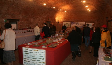 Mostra di Modellismo a Pozzolo Fornigaro