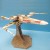 Xwing Fighter
