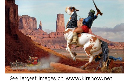 Apache © Pietro Ballarini - Click to enlarge