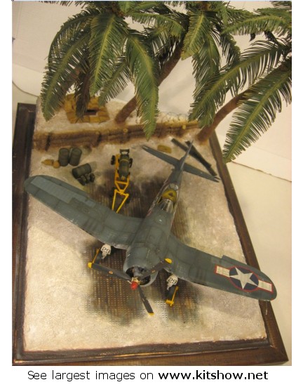FW 190 D9 © Roberto Colaianni- Click to enlarge