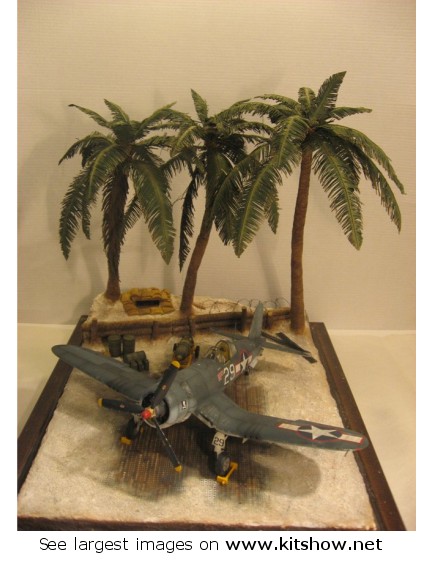 FW 190 D9 © Roberto Colaianni- Click to enlarge