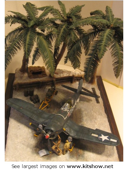FW 190 D9 © Roberto Colaianni- Click to enlarge