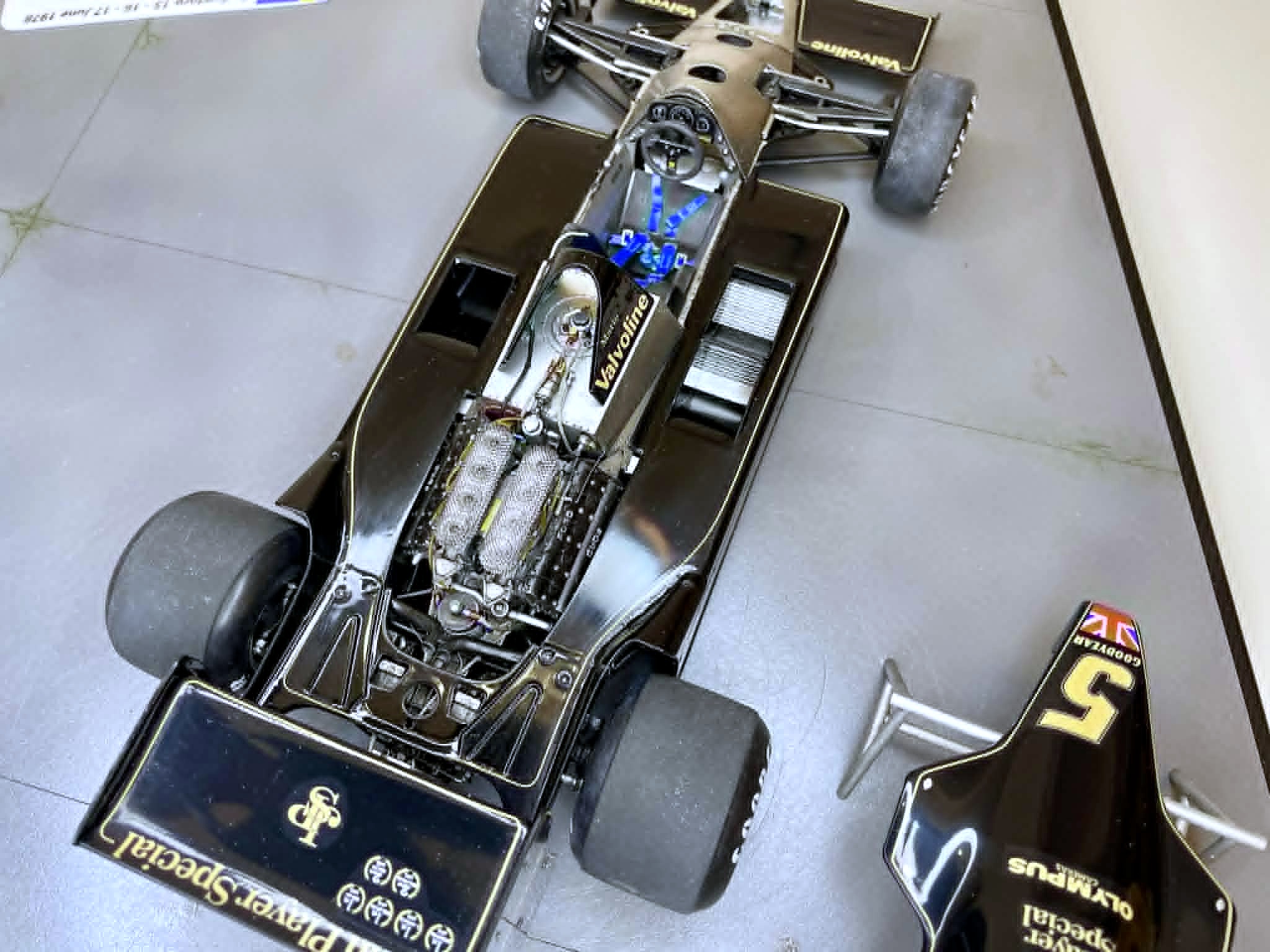 GP di Svezia 1978: Brabham BT46B e Lotus 79