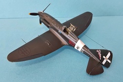 Reggiane Re 2005 Sagittario