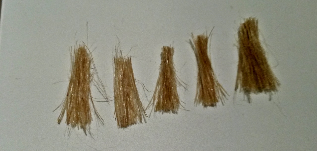 Bohío © Bruno Lucchini - Click to magnify/shrink