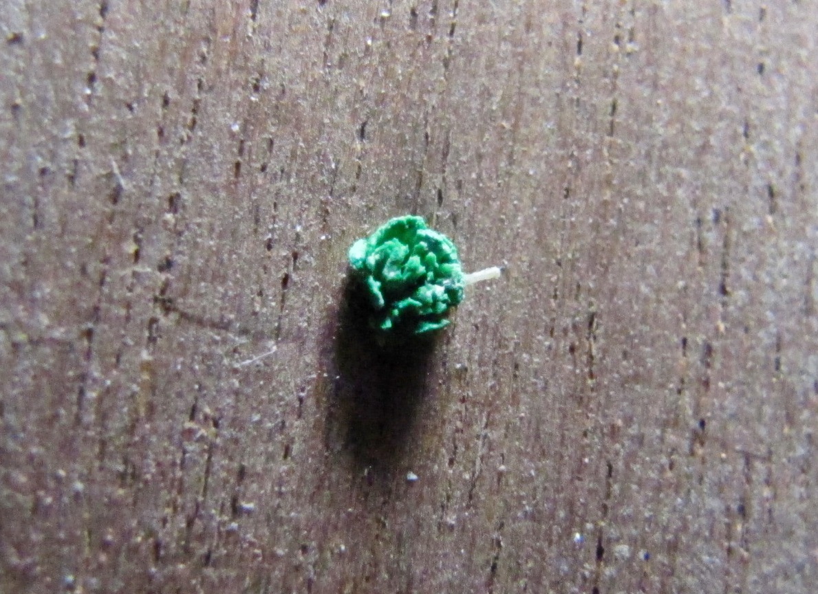 Bohío © Bruno Lucchini - Click to magnify/shrink