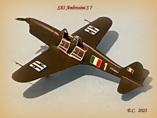 SAI Ambrosini S 7 © Enrico Calanchini - Click to magnify/shrink