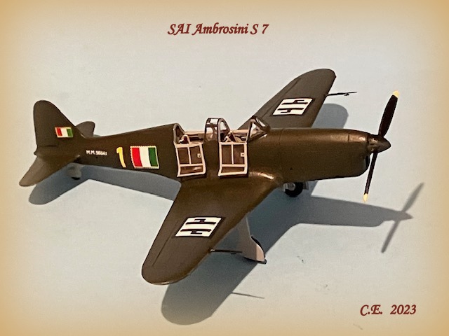 SAI Ambrosini S 7 © Enrico Calanchini - Click to magnify/shrink