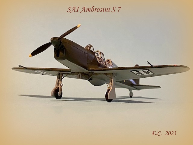 SAI Ambrosini S 7 © Enrico Calanchini - Click to magnify/shrink