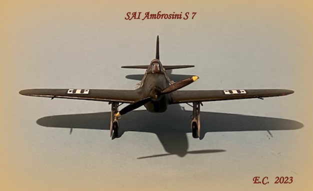 SAI Ambrosini S 7 © Enrico Calanchini - Click to magnify/shrink