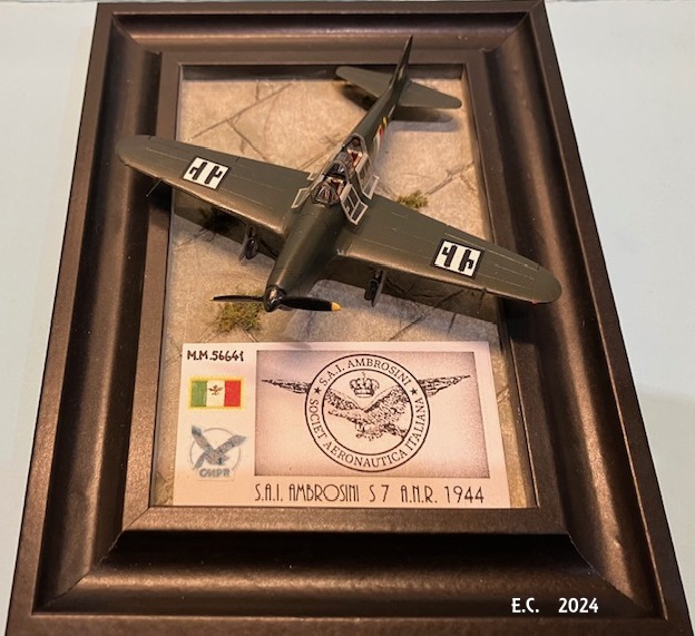 SAI Ambrosini S 7 © Enrico Calanchini - Click to magnify/shrink