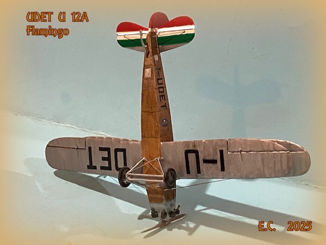 UDET U-12A © Enrico Calanchini - Click to magnify/shrink UDET U-12A
