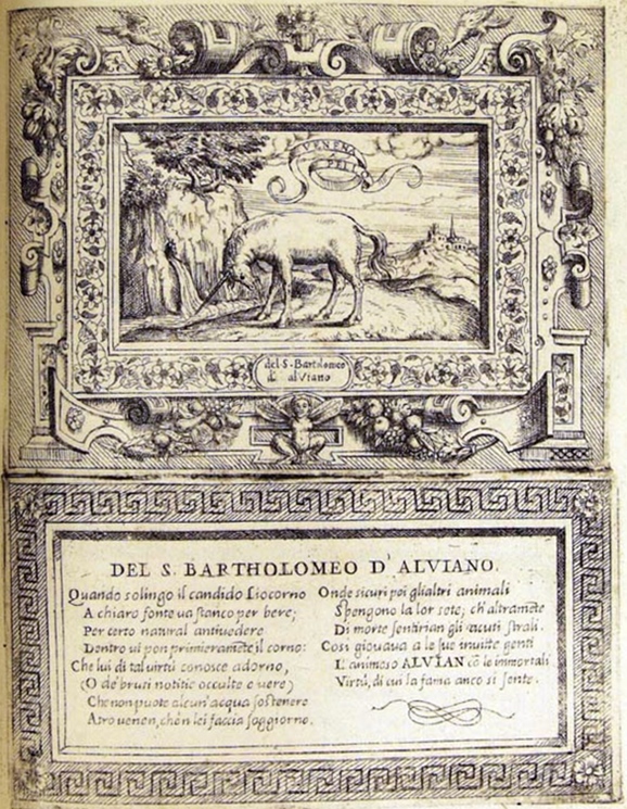 Portastendardo di Bartolomeo d'Alviano © Francesco Sbarile