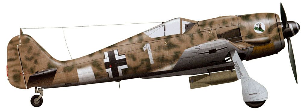 FW 190 F8 – Northern Italy 1944 © Giovanni Olivero - Click to magnify/shrink