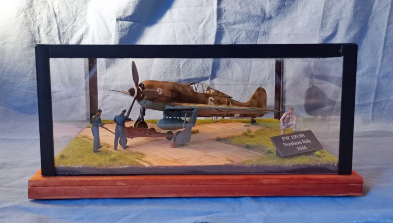 FW 190 F8 – Northern Italy 1944 © Giovanni Olivero - Click to magnify/shrink