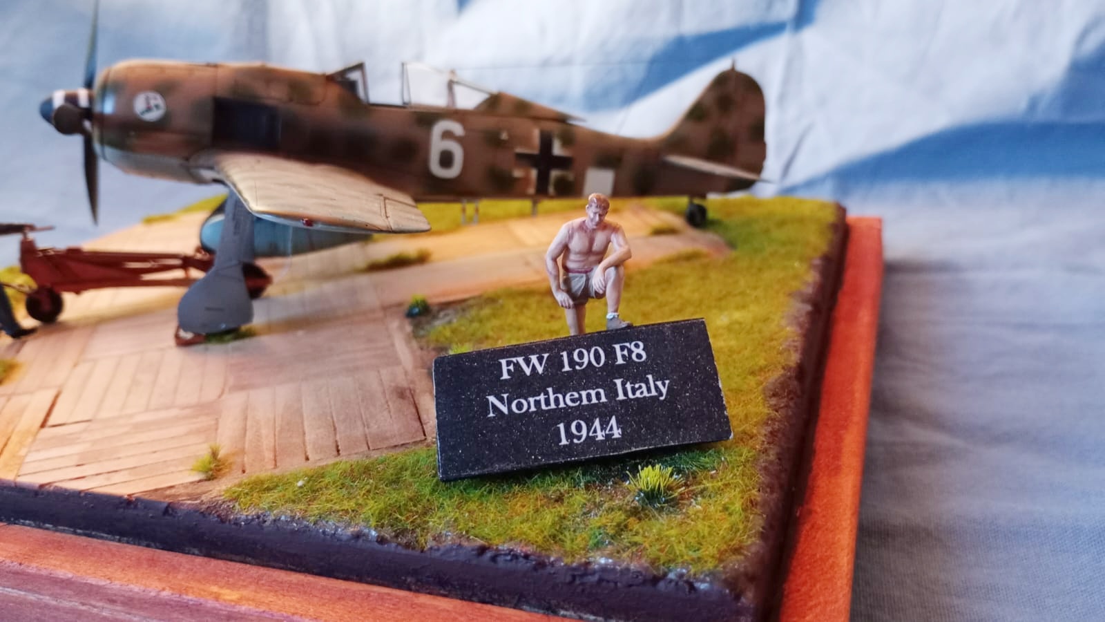 FW 190 F8 – Northern Italy 1944 © Giovanni Olivero - Click to magnify/shrink