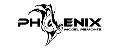 Phoenix Model