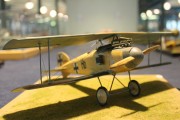 Albatros D I