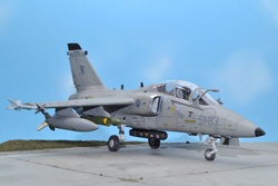 AMX-T ACOL