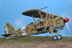FIAT CR 42 AS