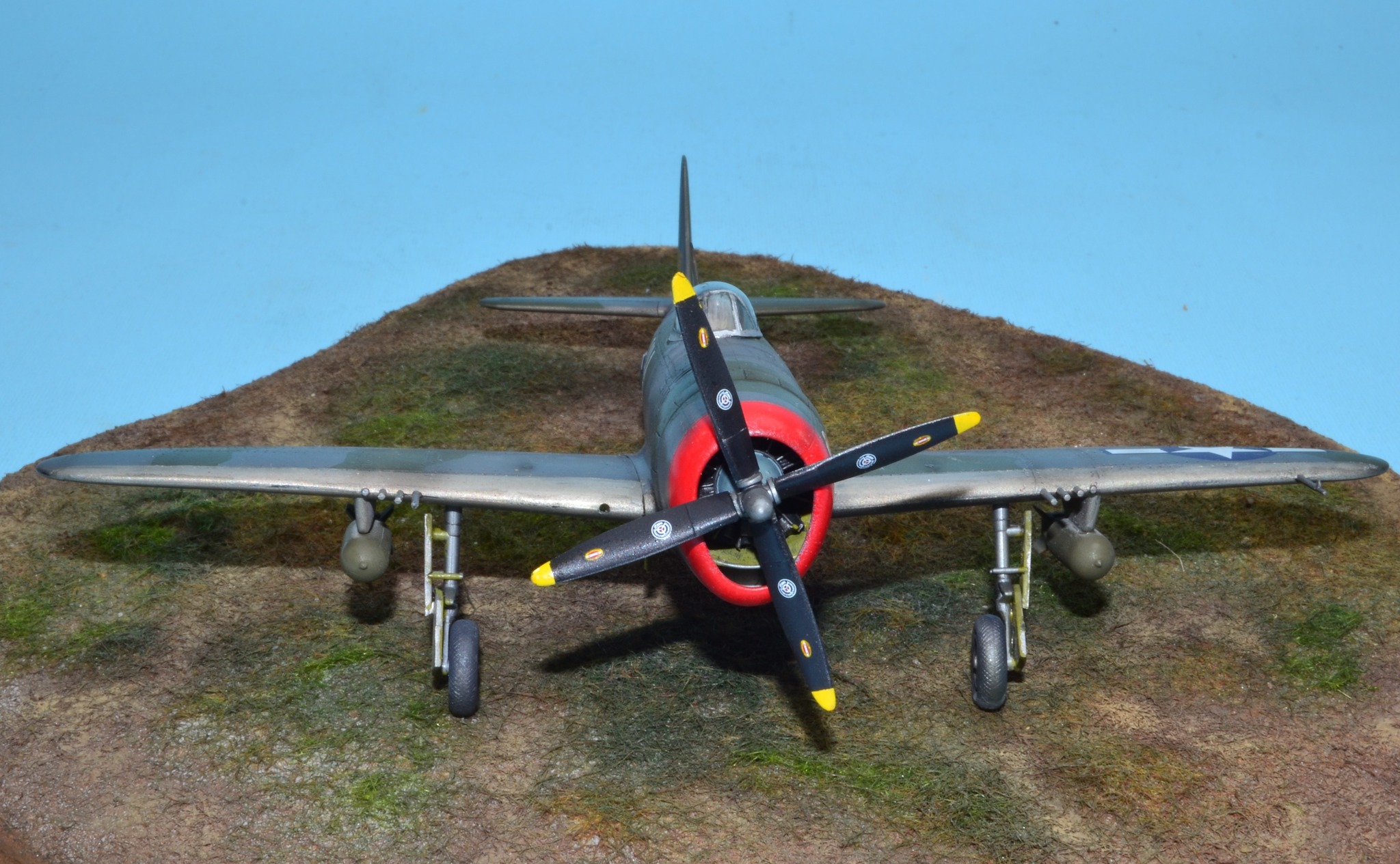 Republic P-47D Thunderbolt © Maurizio Ugo - Click to magnify/shrink