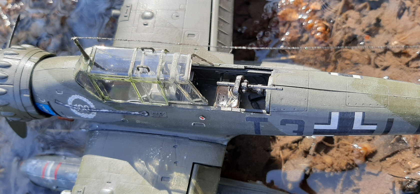 Arado Ar 196 A-3 © Paolo Tarantino - Click to magnify/shrink Arado Ar 196 A-3