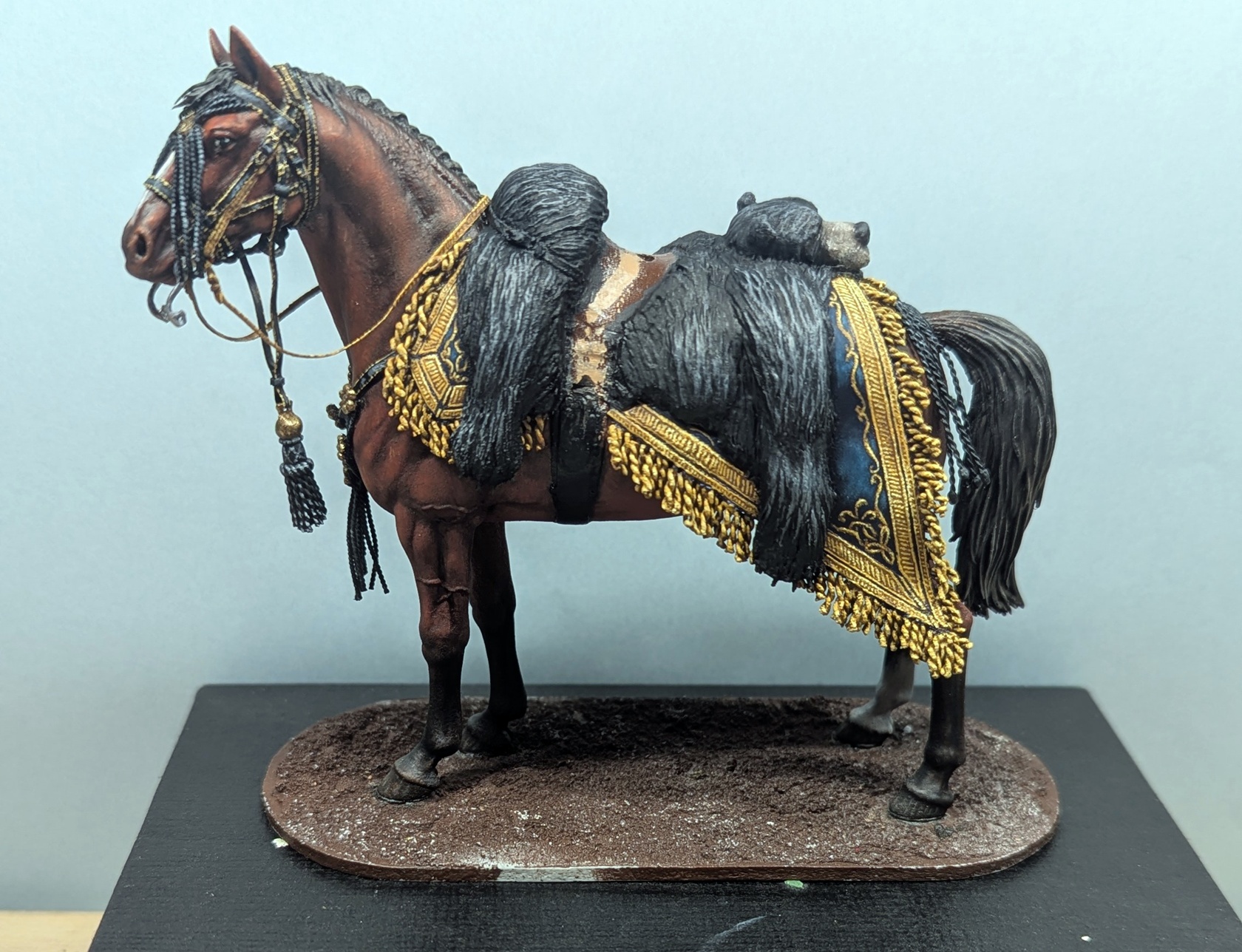 Etienne Macdonald © Pierre Pastorelli - Click to magnify/shrink