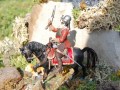 Il mestiere delle armi