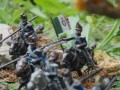 La battaglia di Montebello