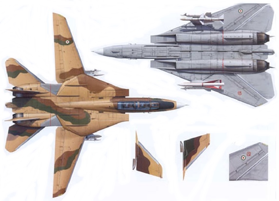 F-14A IRIAF